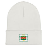 2 In 2 Out Apparel White "SWAG" Cuffed Beanie